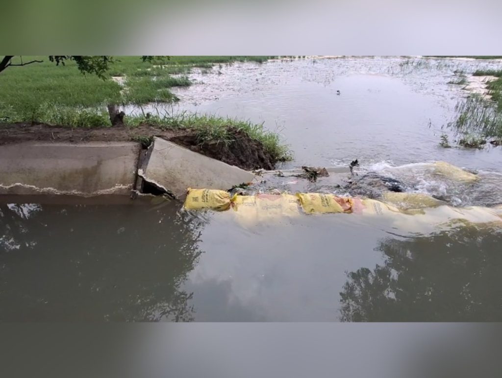 Villagers Struggle to Plug Canal Breach as Paddy Crop Suffers Heavy Damage