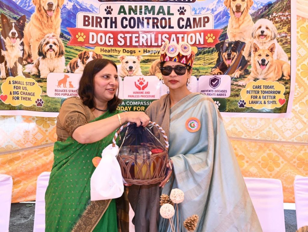 Lahaul-Spiti launches animal birth control drive to curb stray dog population