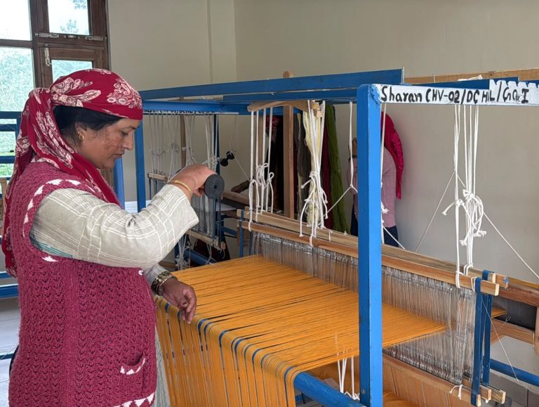 Sharan transforms after handloom village status