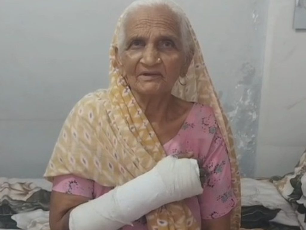 Stray Bull Attack Raises Safety Concerns in Pinjore