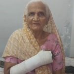 Stray Bull attack leaves elderly woman injured in Pinjore