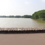 Sukhna lake faces growing threat from illegal construction in catchment