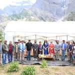 Blueberry cultivation shows promise as new cash Crop for Lahaul farmers