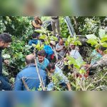 Four killed, one injured as car plunges into gorge in Himachal