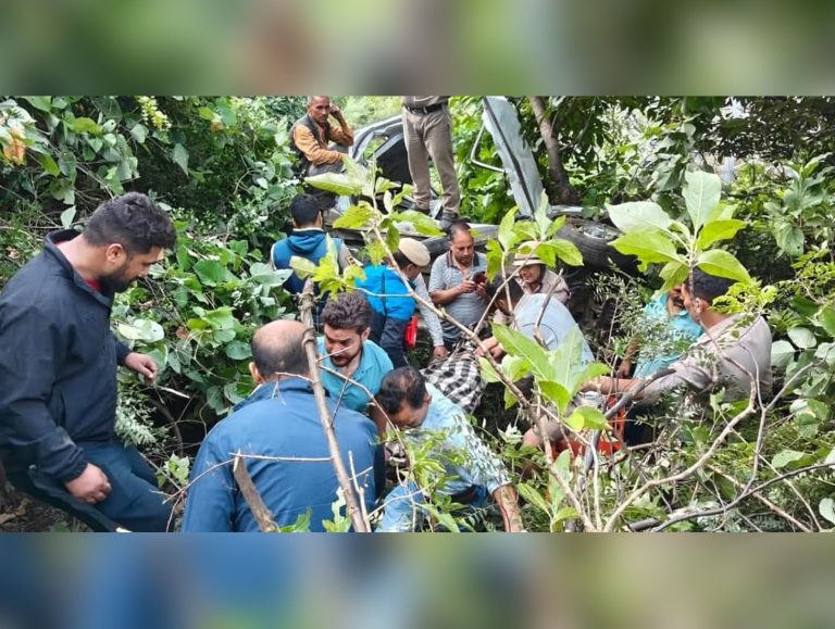 Four Killed, One Injured as Car Falls Into Gorge in Ani