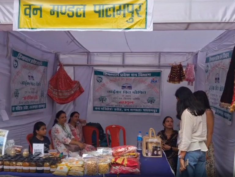 Himachal eco-tourism workshop begins in Dharamshala