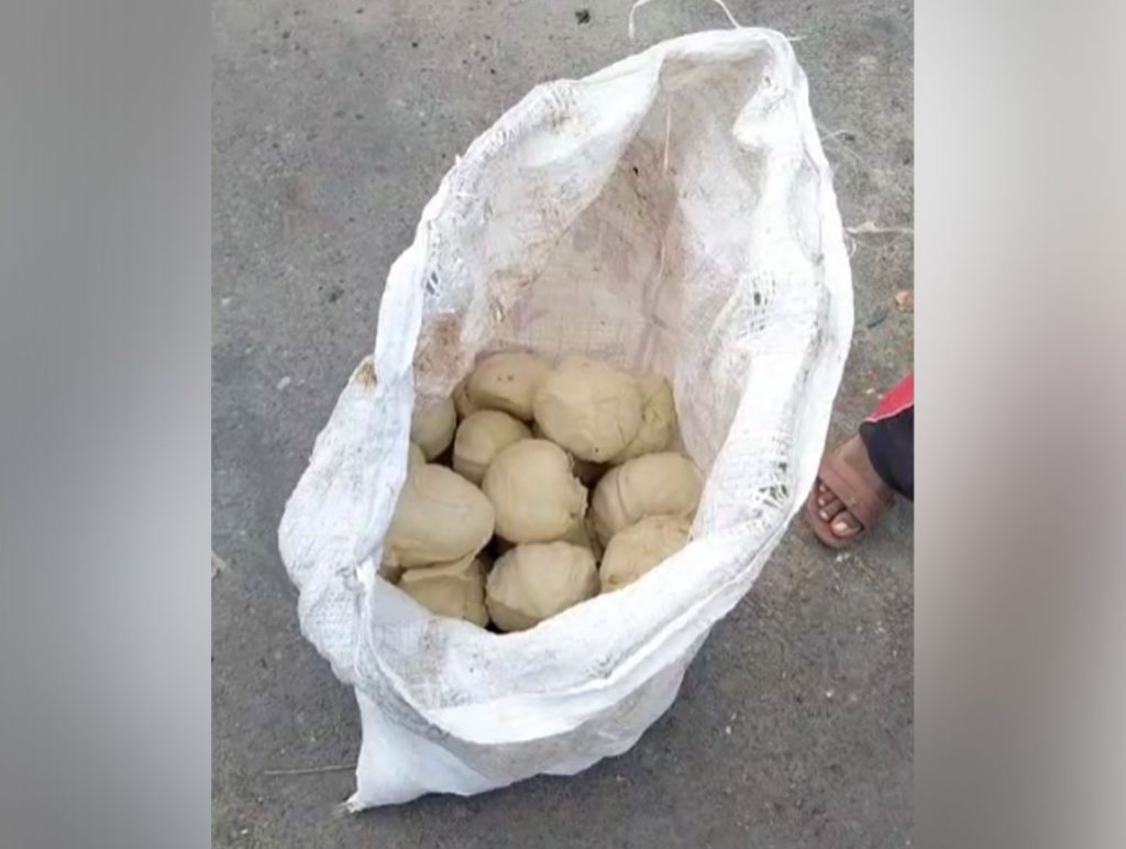 Video Claims Cabbage Recovered From Garbage for Food