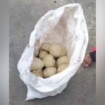 Viral video raises food safety concerns in Patiala