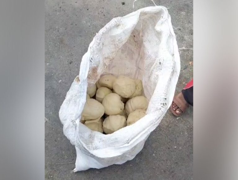 Viral video raises food safety concerns in Patiala