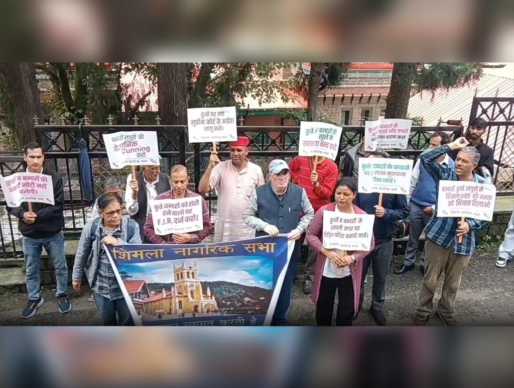 Shimla Nagrik Sabha protests over stray dog, monkey menace