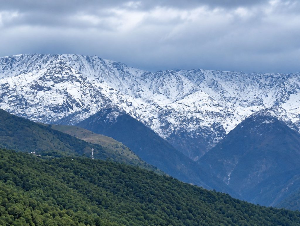 Sunshine after morning rain offers clear views of snow-covered Dhauladhar peaks