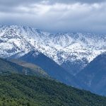 Fresh snowfall brightens Dharamshala tourism prospects