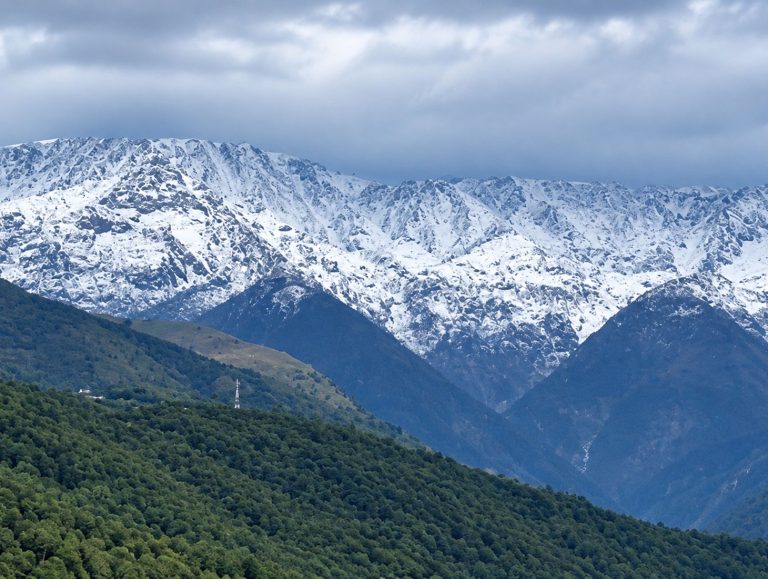Fresh snowfall brightens Dharamshala tourism prospects
