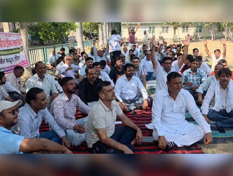 Haryana power staff go on strike over private licence
