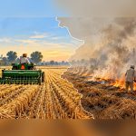 How Indian Punjab cut farm fire detections by 94 pc & what Pak can learn