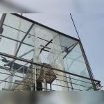 Ambedkar statue vandalised in Ludhiana, woman detained