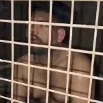 4 booked for assaulting, locking driver in dog cage